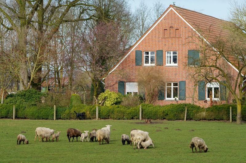 Grundstücksübertragung als Spekulationsgewinn